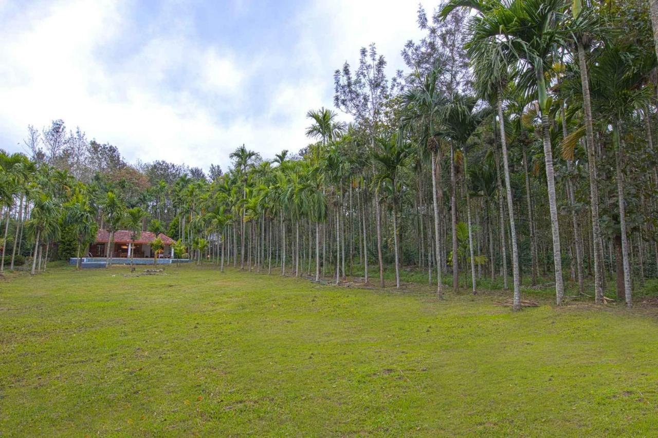 Stayvista At Tall Silver With Infinity Pool & Breakast Madikeri Exterior photo