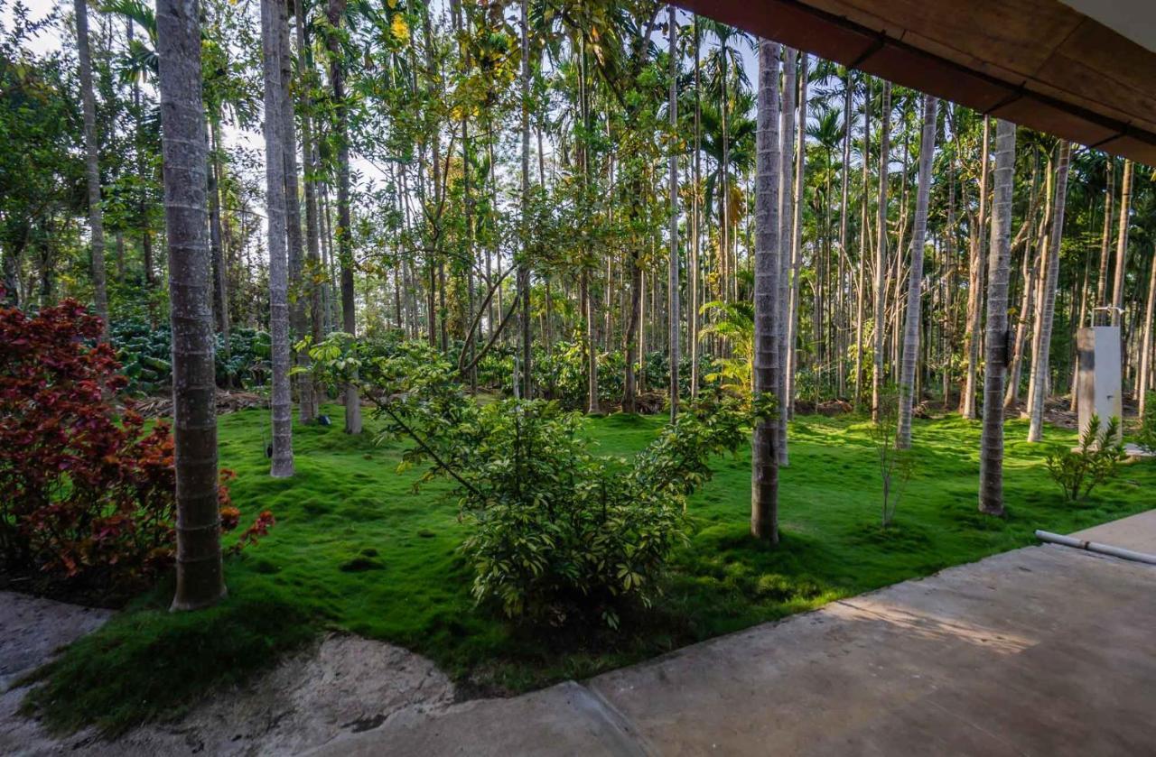 Stayvista At Tall Silver With Infinity Pool & Breakast Madikeri Exterior photo
